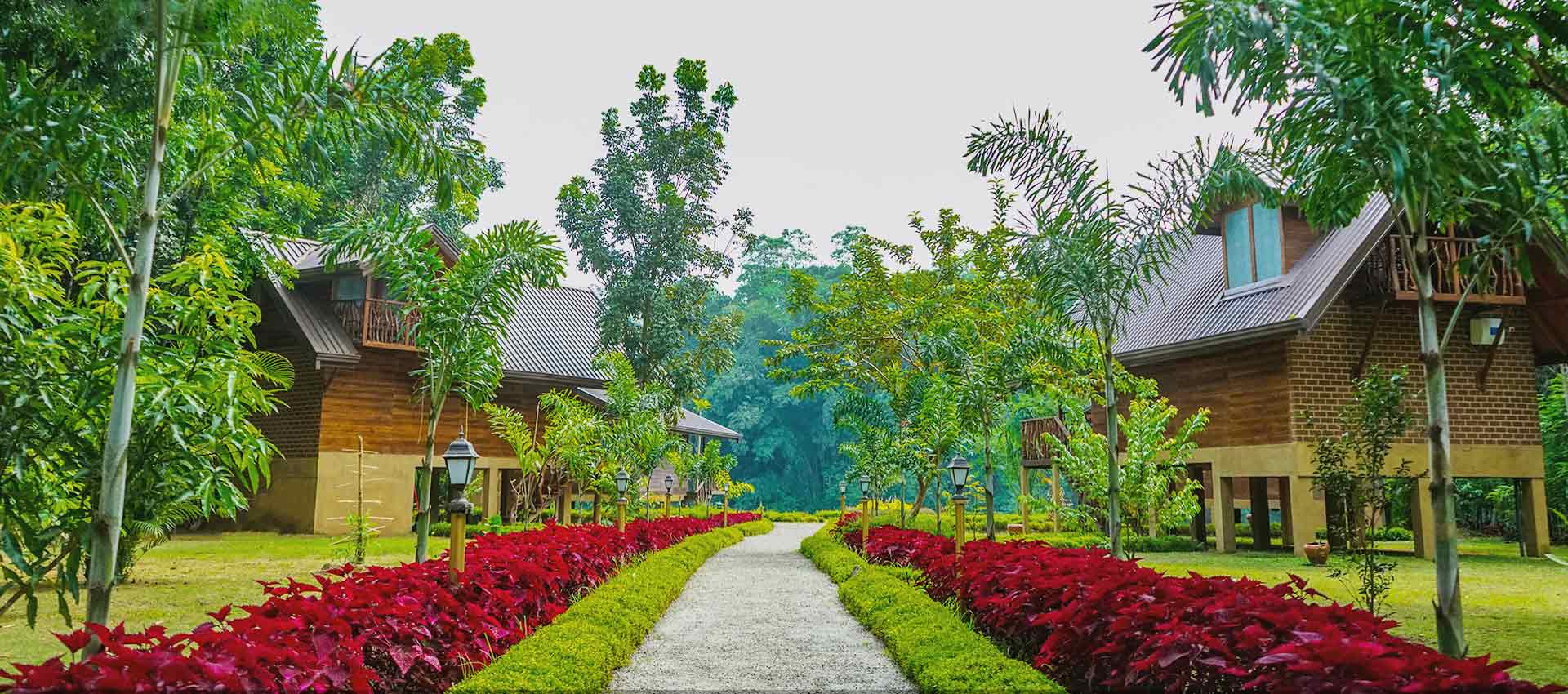 Kandy Cabana Eco resort - Accommodation